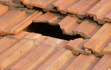 roof repair Donnington